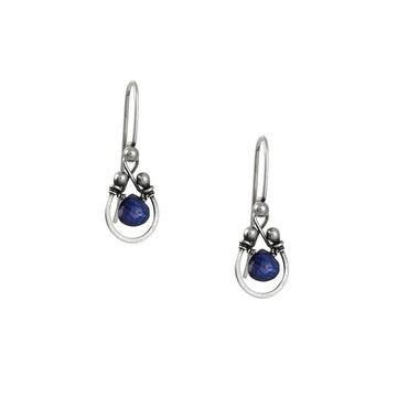 Zuzko Jewelry - Horseshoe Earrings in Kyanite - The Clay Pot - Zuzko Jewelry - All Earrings, dangle earrings, dangleearrings, sapphire, Sterling Silver, Style:Dangle Earrings