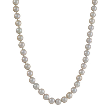 CP Collection - Akoya Pearl Necklace - The Clay Pot - Hill House - classic, Layering, Necklace