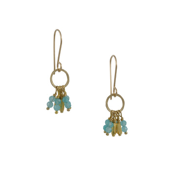 Debbie Fisher - Amazonite Fringe Earrings