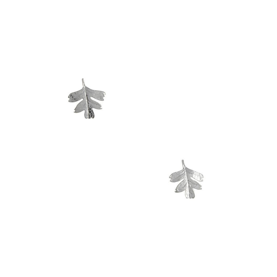 Tashi - Oak Leaf Stud Earrings - The Clay Pot - Tashi - All Earrings, Earrings:Studs, Sterling Silver, studs
