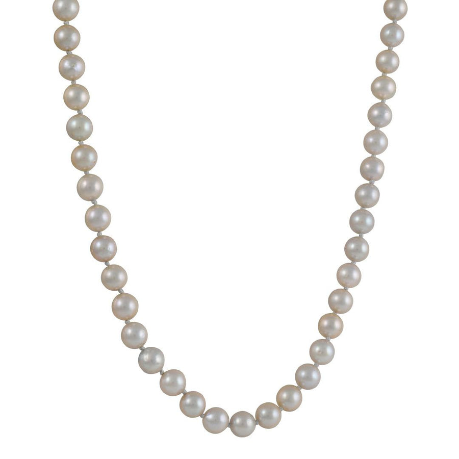 CP Collection - Akoya Pearl Necklace - The Clay Pot - Hill House - classic, Layering, Necklace