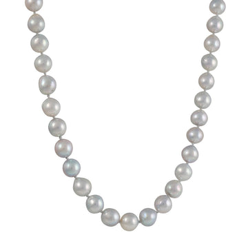 CP Collection - Akoya Pearls Necklace - The Clay Pot - Hill House - classic, Layering, Necklace